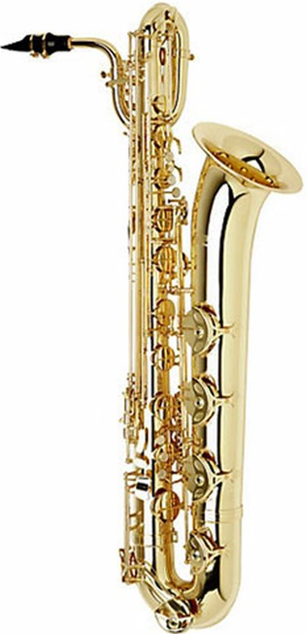 good saxophone on rent south-delhi
