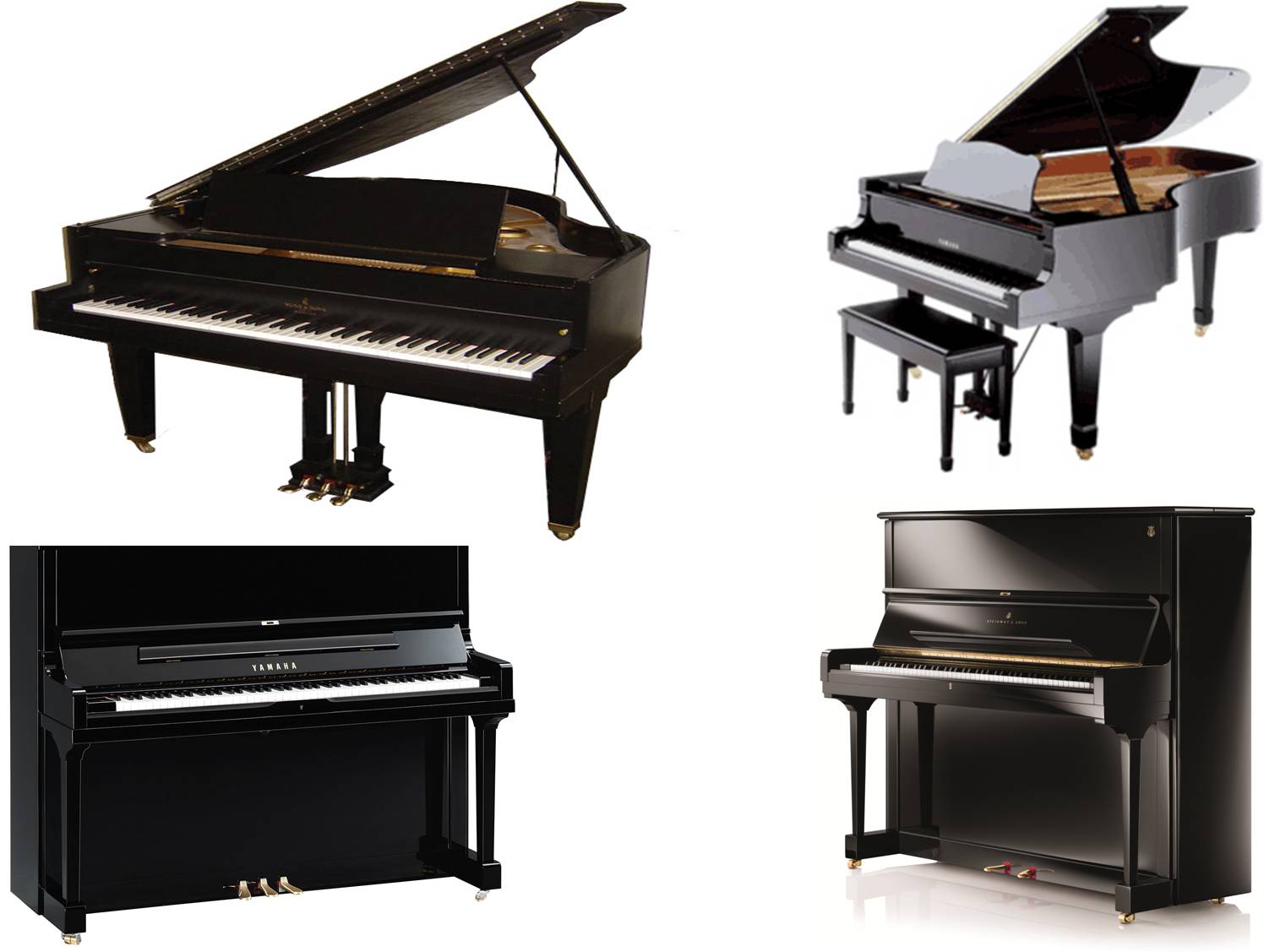 best piano on rent south-delhi